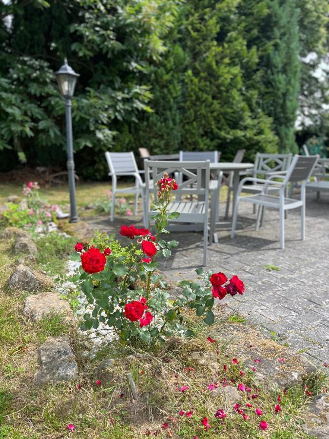 U Vaclava Bed & Breakfast Hrensko Exterior photo