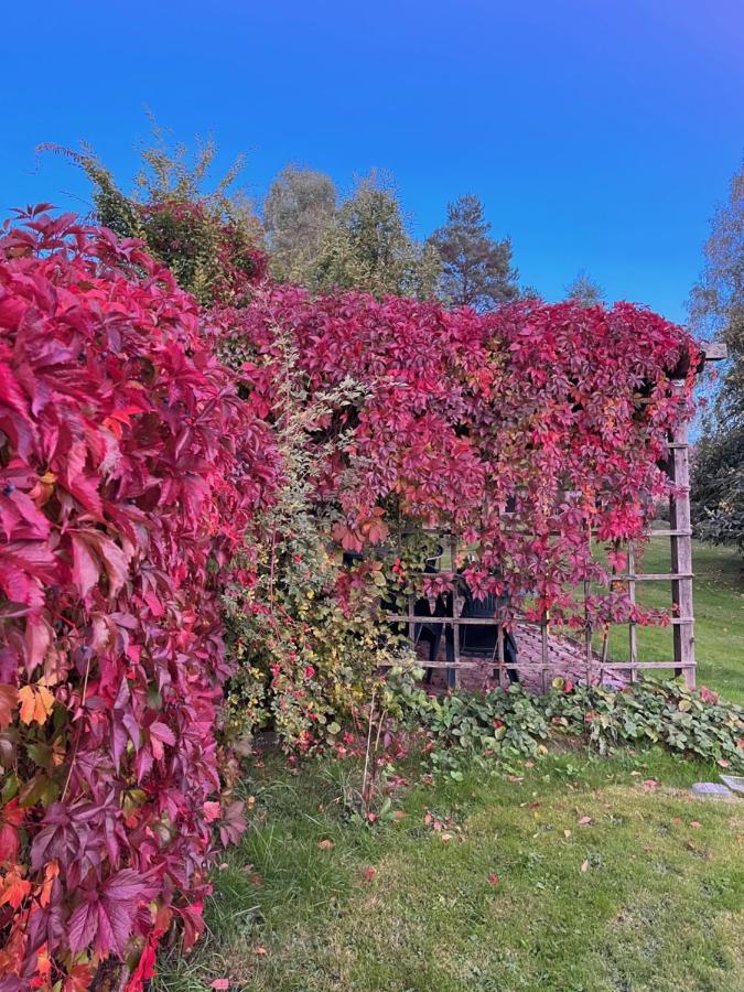 U Vaclava Bed & Breakfast Hrensko Exterior photo